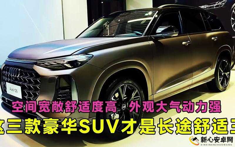 尺码最大的国产SUV：探索其宽敞空间与卓越性能的奥秘